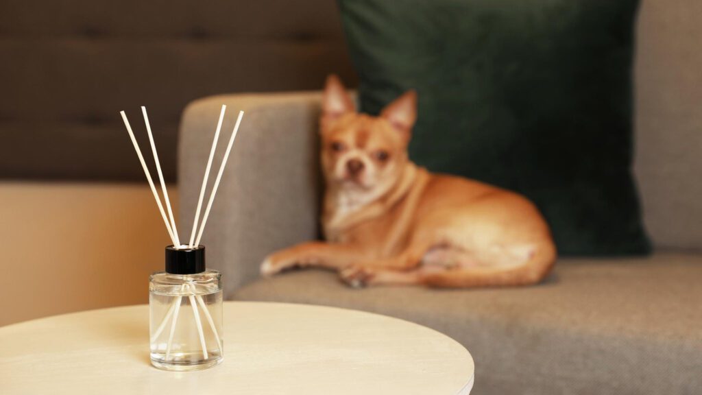 Aromatic air freshener Sticks in pet area