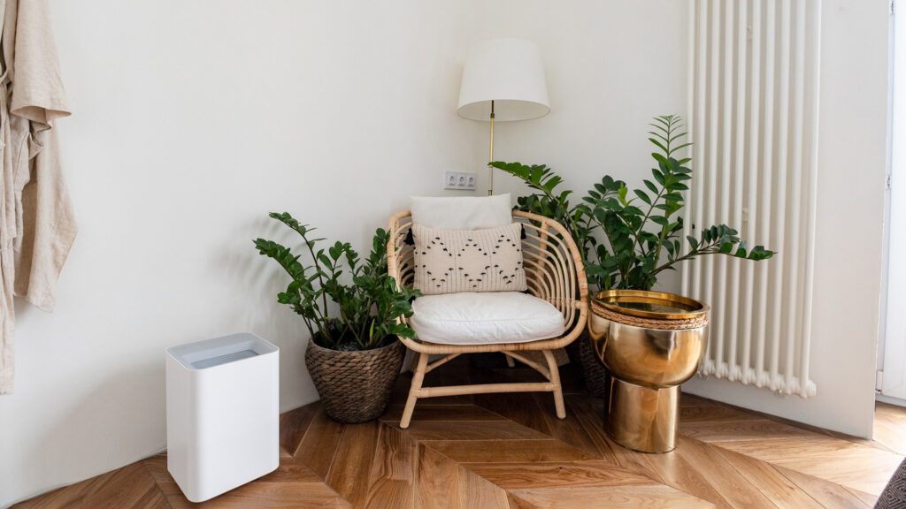 10 Simple Steps To Get Rid of Home Odors