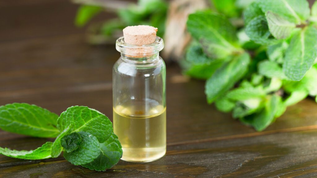 Peppermint Oil To Get Rid Of Mouse.
essential oils repel bugs and rodents