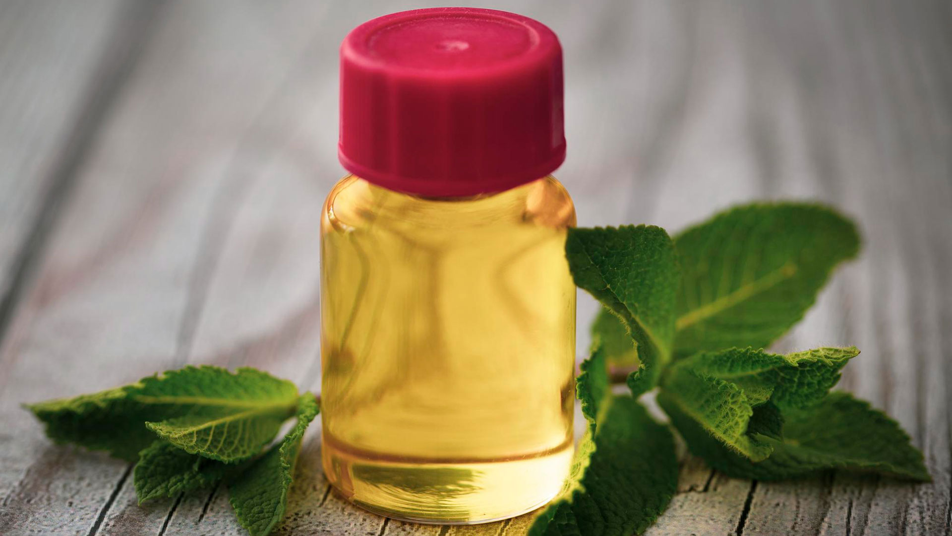 Essential oil in plastic bottle