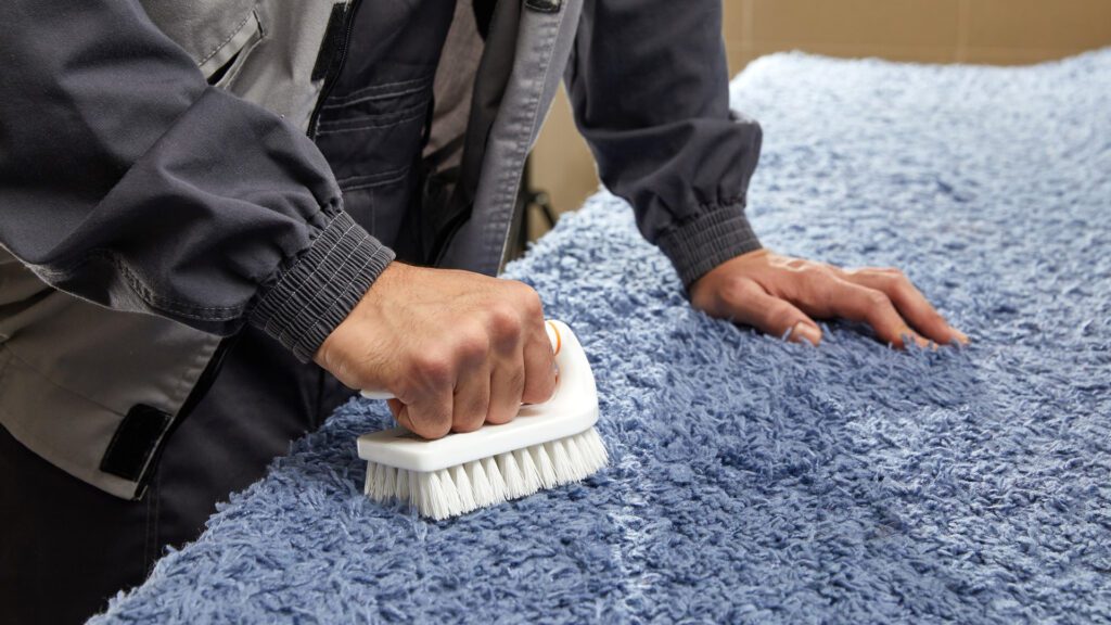Deep Cleaning the Carpet To Get Rid of Home Odors